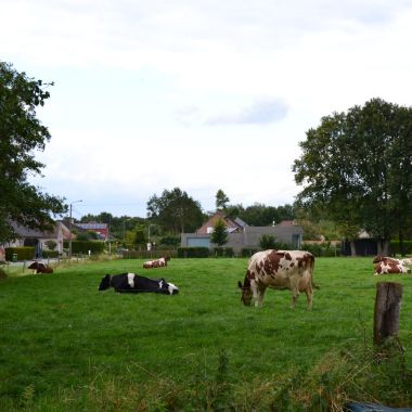 Landschapspark Zuidrand