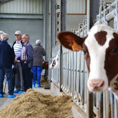 Aanbod voor verenigingen