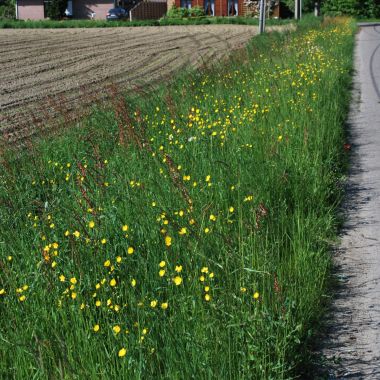 Beheerplannen