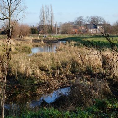 Provinciaal overstromingsgebied Babbelse Plassen