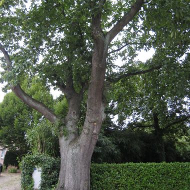 Aanvraag voor wijziging natuur