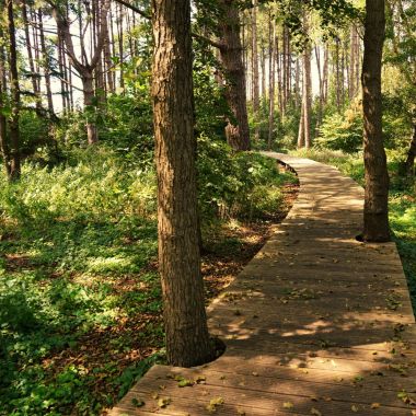 Wandelpad door Park Groot Schijn