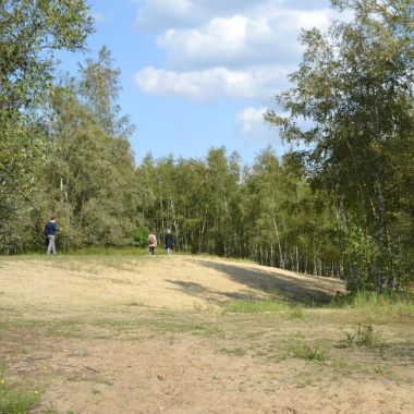 Groengebied Terhagen Boom