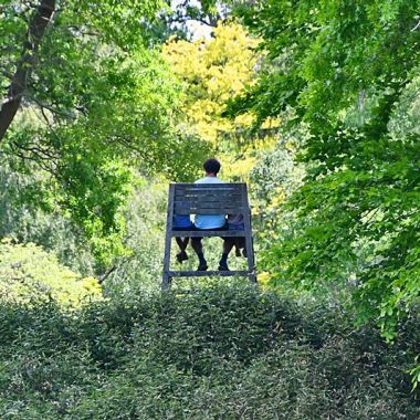 Arboretum Kalmthout Stoel