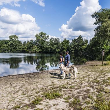 Winnaar Wandeling van het jaar 2013