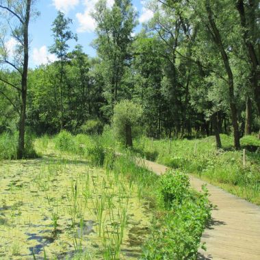 Winnaar Wandeling van het jaar 2016