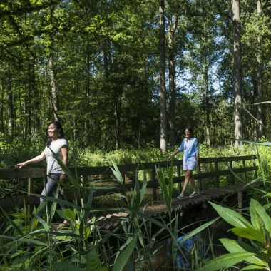 Winnaar Wandeling van het jaar 2017