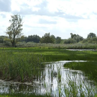 Winnaar Wandeling van het jaar 2012