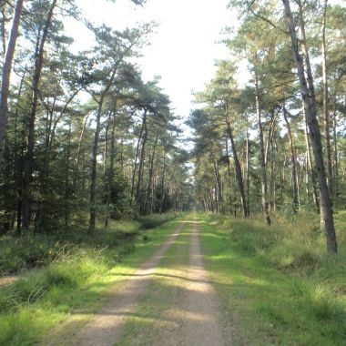 Winnaar Wandeling van het jaar 2014