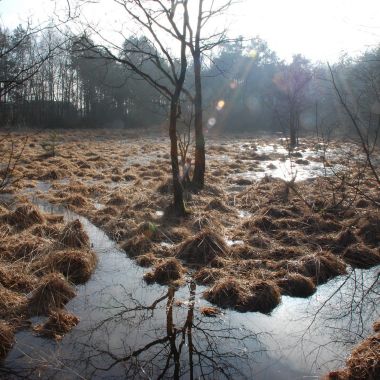 Vrijwilligerswerk op de Kesselse Heide