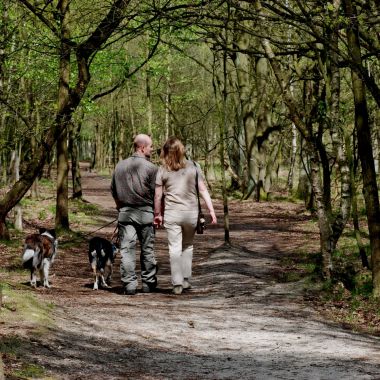 Wandelen en lopen op de Kesselse Heide