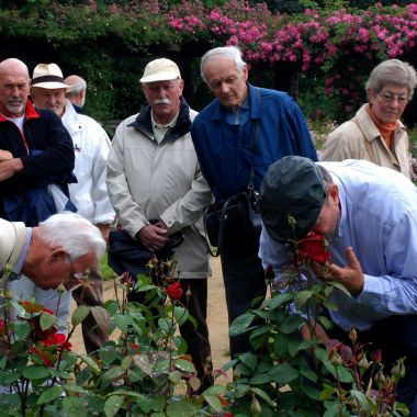 Wandelingen op aanvraag