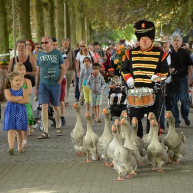 Cultuur in het Rivierenhof