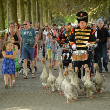 Groene activiteiten en evenementen