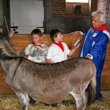 Vrijwilligers op de Kinderboerderij