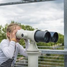 Ondersteuning productontwikkeling