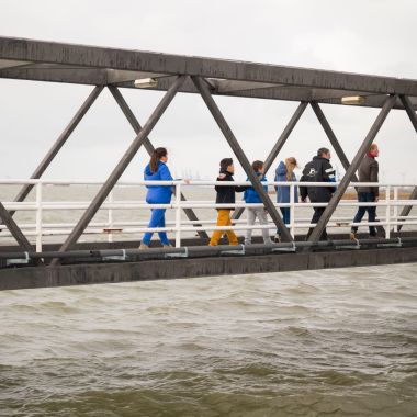 Jongeren op de steiger op de Schelde aan Lillo