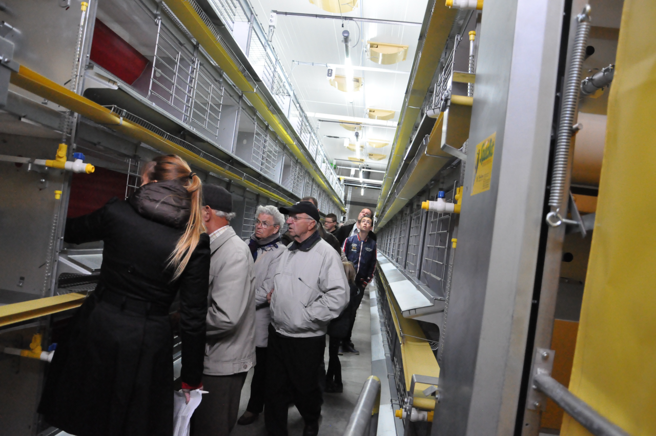 Opening nieuwe stallen