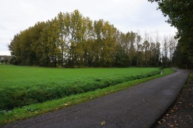 Babbelsebeek naast de Bremstraat