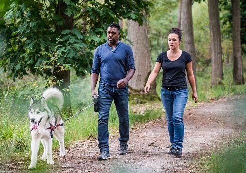 Twee mensen wandelen met hond in een bosrijke omgeving.
