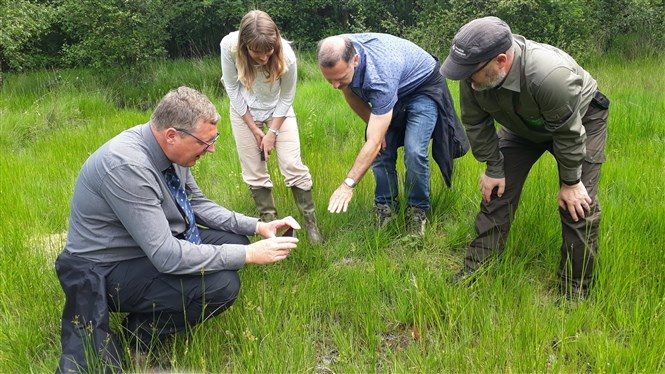 GFA-jury gefascineerd door de vele indicatorplanten op de Kesselse Heide 