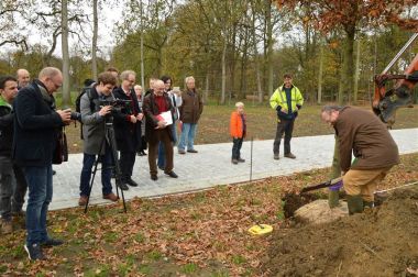 RH Jezuïetendreef aanplant 120 beuken