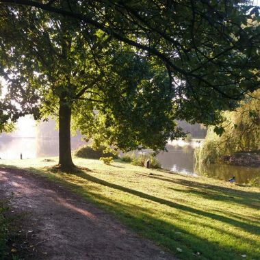 vijver Vrijbroekpark