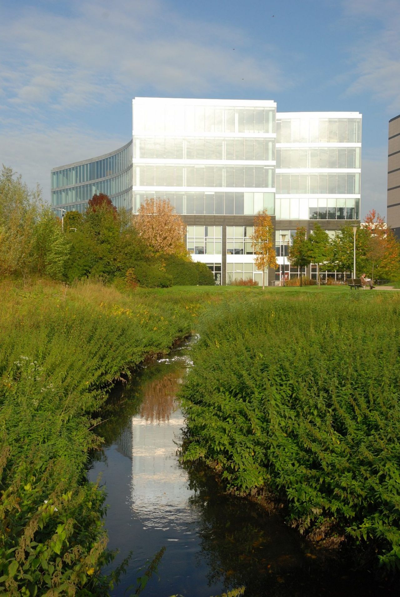 Een groene strook rond kantoorgebouwen geeft ruimte aan zowel fauna als flora