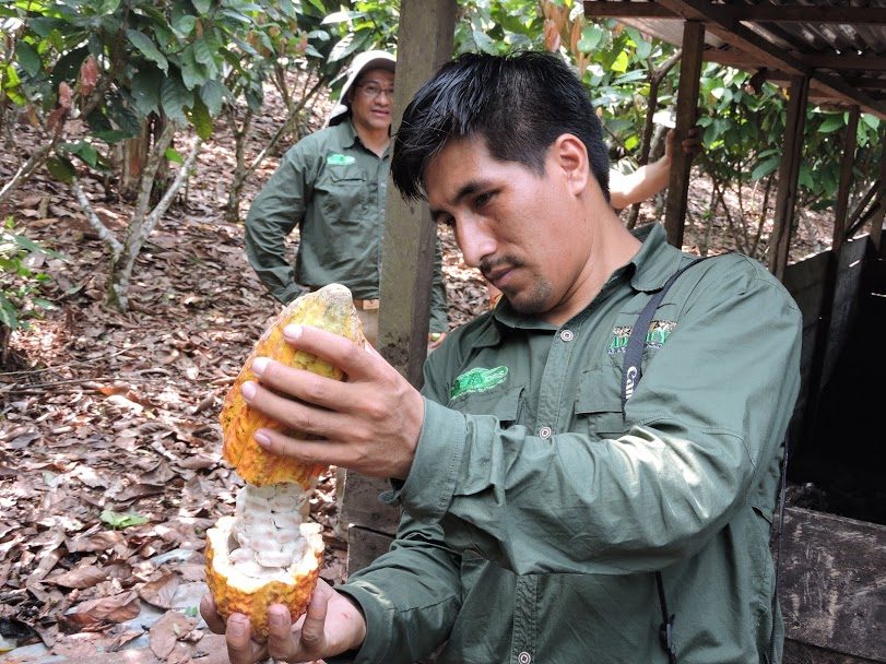 Capaciteitsopbouw voor cacaoboeren in de bufferzone van het Yanesha-natuurreservaat