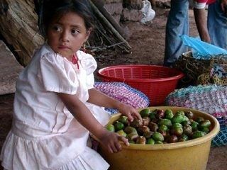 Guatemala appels