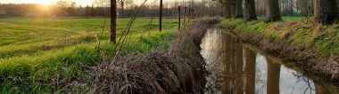 Opgaande zon aan de Varendonkse Beek