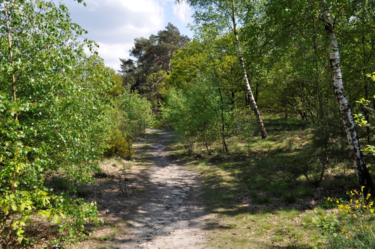 Landschap De Liereman ecosysteemdiensten